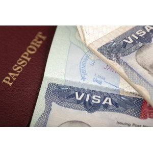 Как получить рабочую визу в Европе: основные требования и сроки оформления