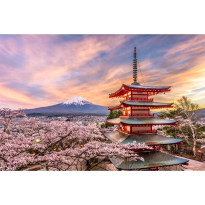 Цветение сакуры в культуре и истории Японии